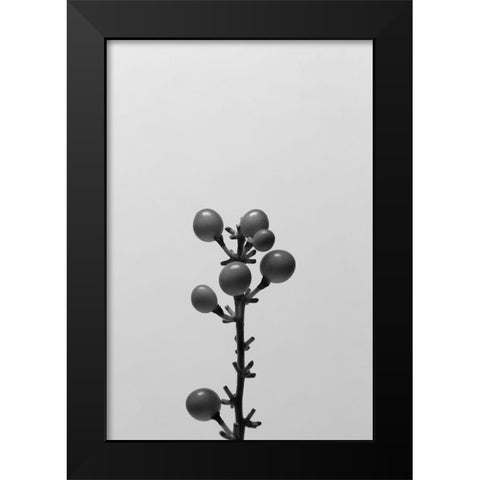 Liriope II Black Modern Wood Framed Art Print by Stramel, Renee W.