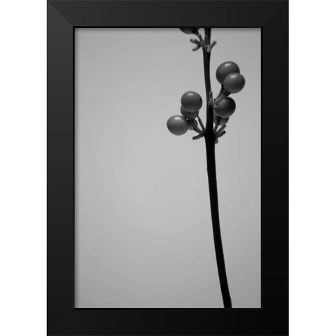 Liriope III Black Modern Wood Framed Art Print by Stramel, Renee W.
