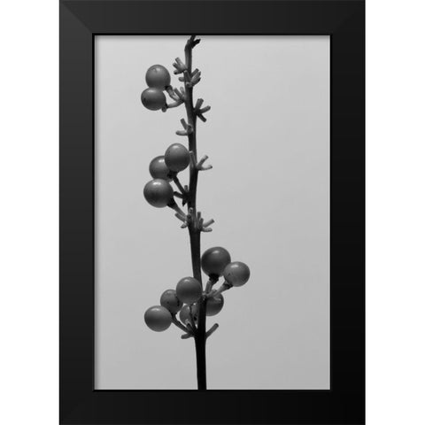 Liriope IV Black Modern Wood Framed Art Print by Stramel, Renee W.