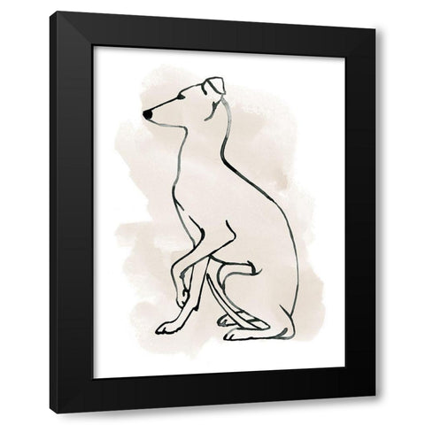 Greyhound Sketch II Black Modern Wood Framed Art Print with Double Matting by Popp, Grace
