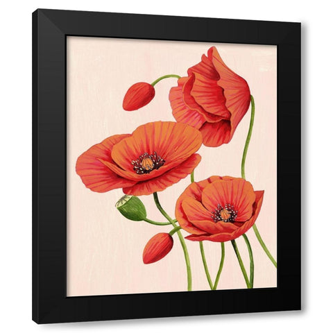 Soft Coral Poppies II Black Modern Wood Framed Art Print with Double Matting by Popp, Grace