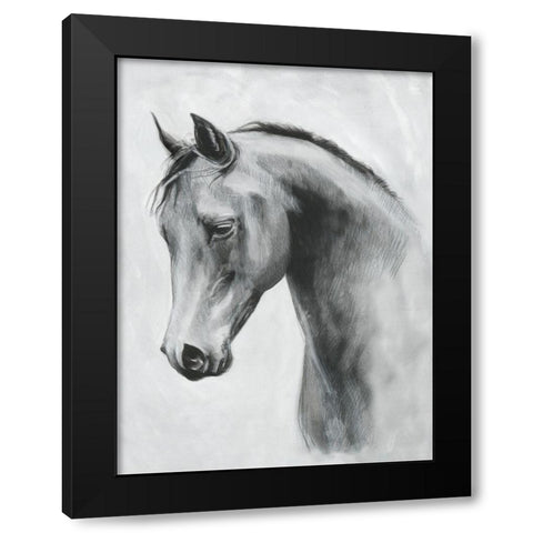 Cavallo II Black Modern Wood Framed Art Print with Double Matting by Scarvey, Emma