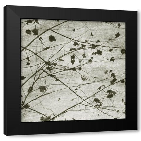 Laced Sky I Black Modern Wood Framed Art Print by Chandler, Sharon