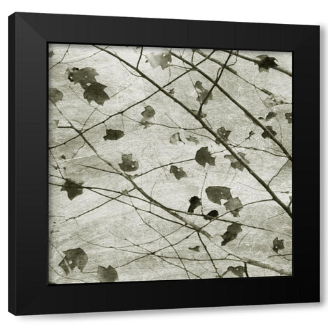 Laced Sky II Black Modern Wood Framed Art Print by Chandler, Sharon