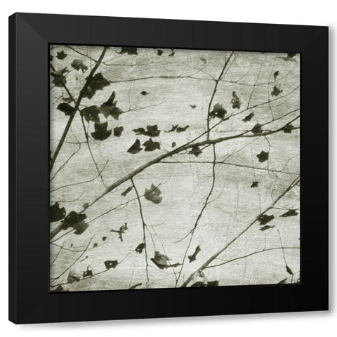 Laced Sky III Black Modern Wood Framed Art Print by Chandler, Sharon