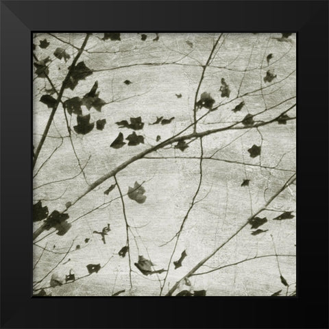 Laced Sky III Black Modern Wood Framed Art Print by Chandler, Sharon