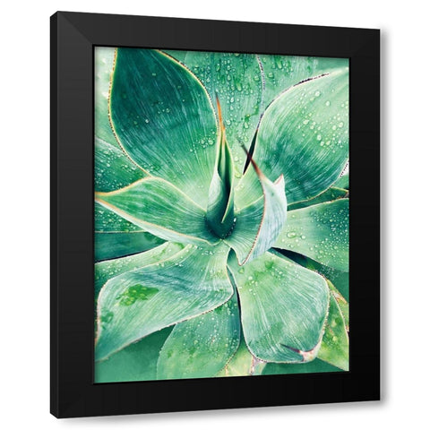 Green Tropical Succulent I Black Modern Wood Framed Art Print with Double Matting by Orlov, Irena