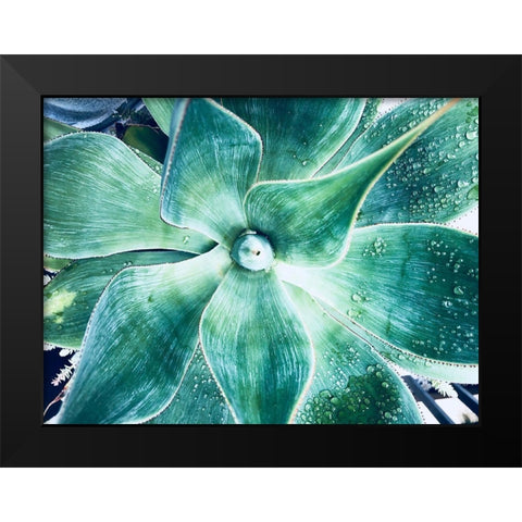 Green Tropical Succulent VII Black Modern Wood Framed Art Print by Orlov, Irena