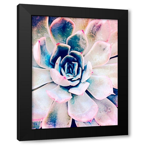 Pastel Succulent Beauty II Black Modern Wood Framed Art Print by Orlov, Irena