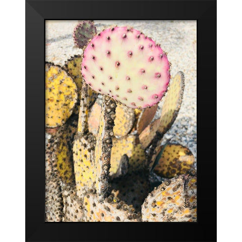 Pink Yellow Cactus II Black Modern Wood Framed Art Print by Orlov, Irena