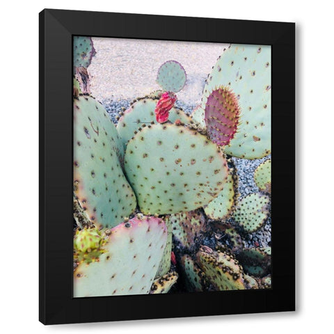 Pink Green Cactus II Black Modern Wood Framed Art Print by Orlov, Irena