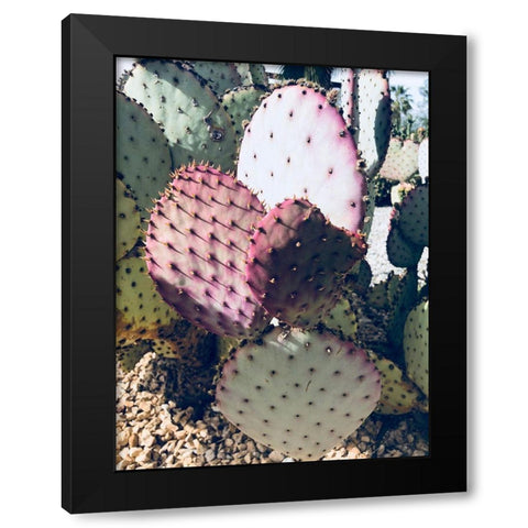 Pink Green Cactus III Black Modern Wood Framed Art Print by Orlov, Irena