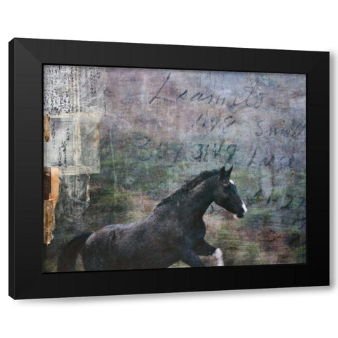 Horse Exposures I Black Modern Wood Framed Art Print by Friedman, Susan