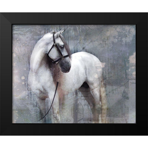 Horse Exposures II Black Modern Wood Framed Art Print by Friedman, Susan