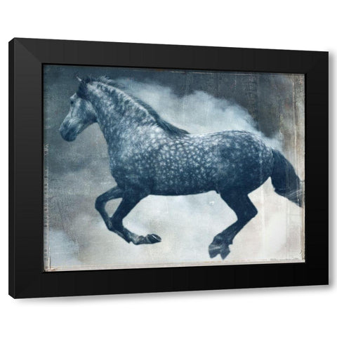 Horse Exposures III Black Modern Wood Framed Art Print by Friedman, Susan
