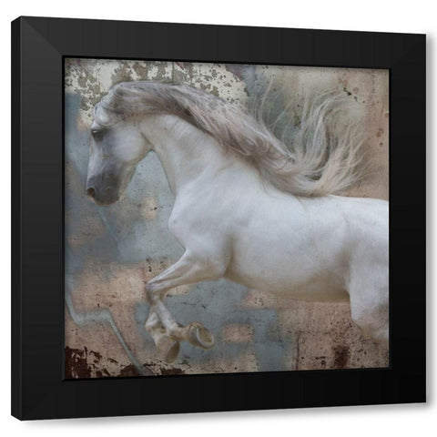 Horse Exposures IV Black Modern Wood Framed Art Print with Double Matting by Friedman, Susan