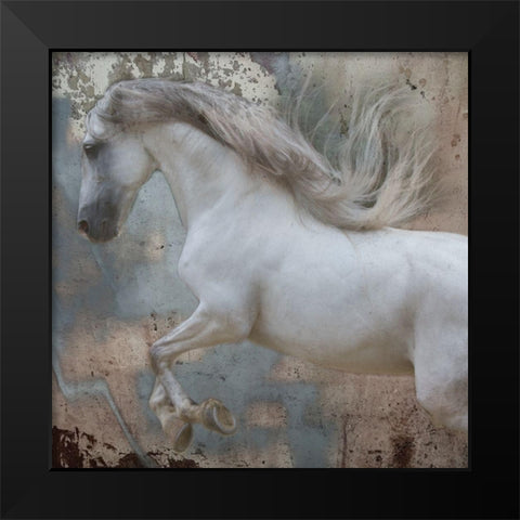 Horse Exposures IV Black Modern Wood Framed Art Print by Friedman, Susan