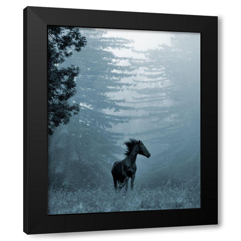 Horse in the Trees I Black Modern Wood Framed Art Print with Double Matting by Friedman, Susan