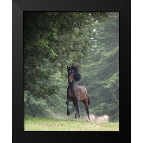 Horse in the Trees III Black Modern Wood Framed Art Print by Friedman, Susan