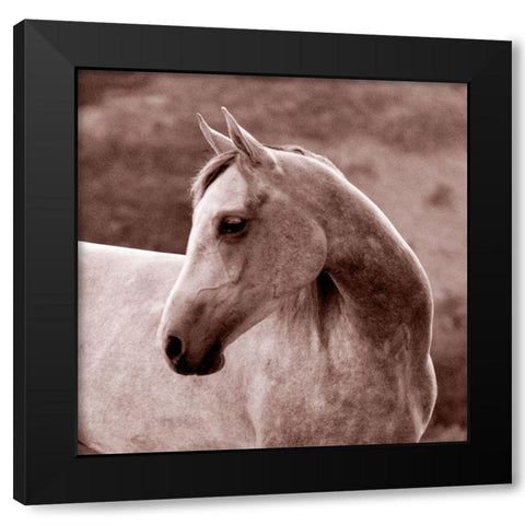 Tempest Black Modern Wood Framed Art Print with Double Matting by Friedman, Susan