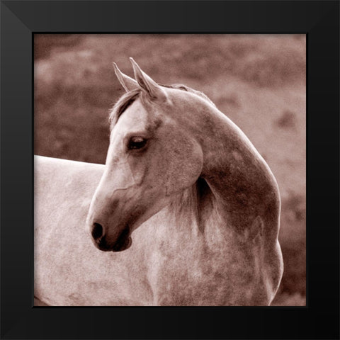 Tempest Black Modern Wood Framed Art Print by Friedman, Susan