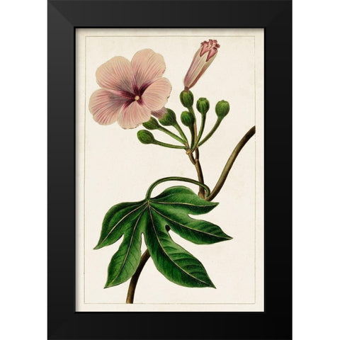 Mauve Botanicals I Black Modern Wood Framed Art Print by Unknown