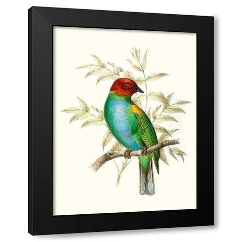 On Perch IV Black Modern Wood Framed Art Print with Double Matting by Unknown