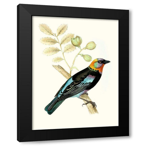 On Perch IX Black Modern Wood Framed Art Print with Double Matting by Unknown