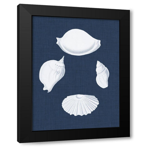 Coquillages Blancs I Black Modern Wood Framed Art Print with Double Matting by Vision Studio