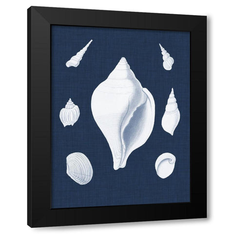 Coquillages Blancs II Black Modern Wood Framed Art Print with Double Matting by Vision Studio