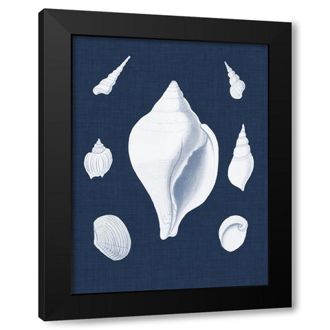 Coquillages Blancs II Black Modern Wood Framed Art Print by Vision Studio