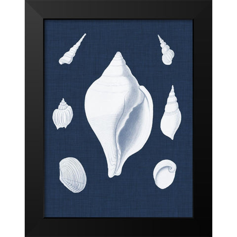 Coquillages Blancs II Black Modern Wood Framed Art Print by Vision Studio