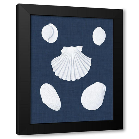 Coquillages Blancs III Black Modern Wood Framed Art Print with Double Matting by Vision Studio