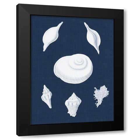 Coquillages Blancs IV Black Modern Wood Framed Art Print with Double Matting by Vision Studio