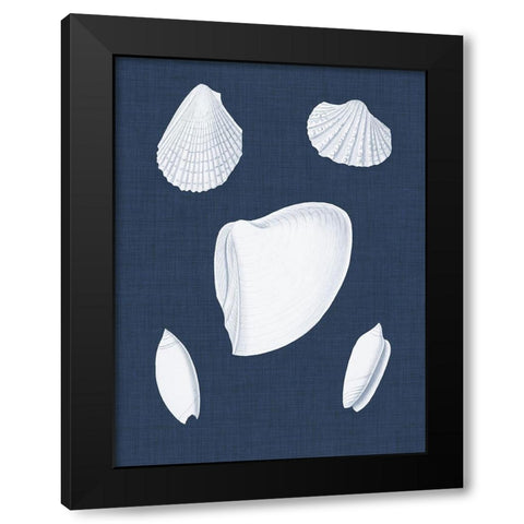 Coquillages Blancs VI Black Modern Wood Framed Art Print with Double Matting by Vision Studio