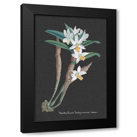 Orchid on Slate I Black Modern Wood Framed Art Print with Double Matting by Vision Studio