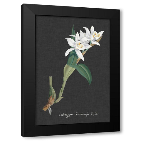 Orchid on Slate III Black Modern Wood Framed Art Print by Vision Studio