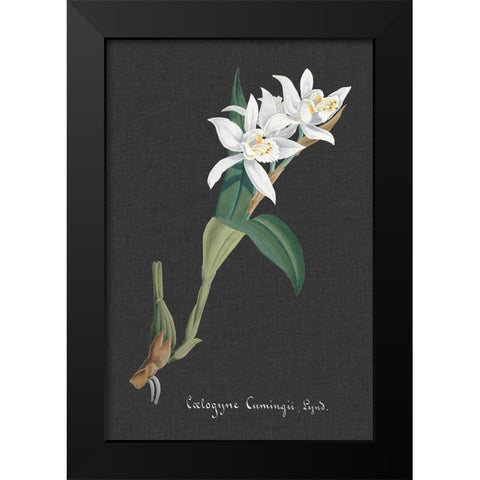 Orchid on Slate III Black Modern Wood Framed Art Print by Vision Studio