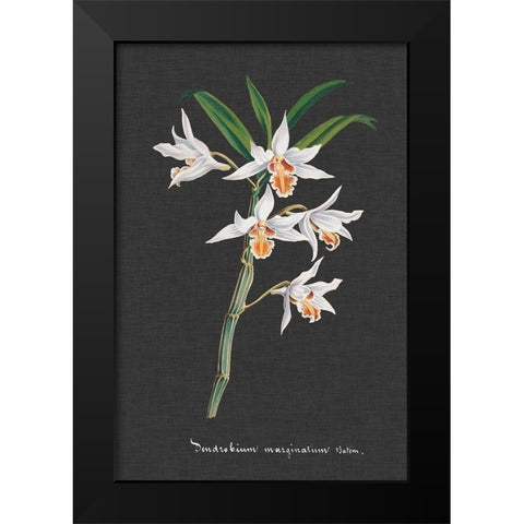 Orchid on Slate IV Black Modern Wood Framed Art Print by Vision Studio