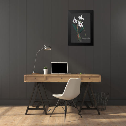 Orchid on Slate V Black Modern Wood Framed Art Print by Vision Studio