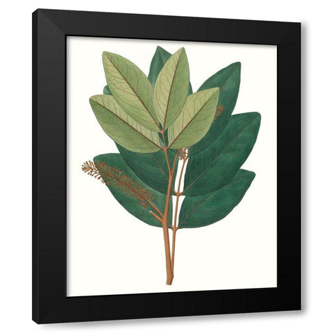 Fall Foliage IV Black Modern Wood Framed Art Print by Unknown