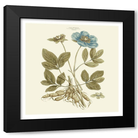 Custom Bashful Blue Florals I Black Modern Wood Framed Art Print by Miller, John