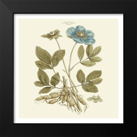 Custom Bashful Blue Florals I Black Modern Wood Framed Art Print by Miller, John