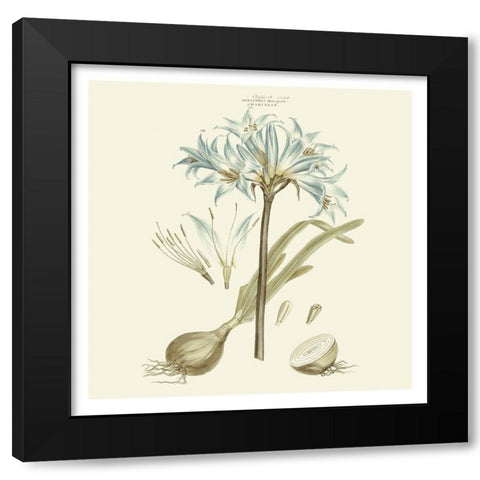 Custom Bashful Blue Florals II Black Modern Wood Framed Art Print with Double Matting by Miller, John