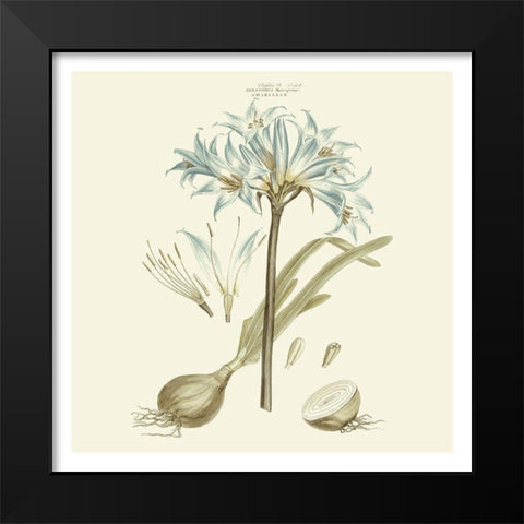 Custom Bashful Blue Florals II Black Modern Wood Framed Art Print by Miller, John