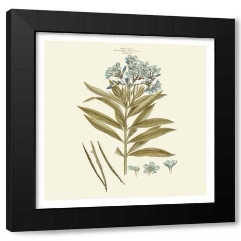 Custom Bashful Blue Florals III Black Modern Wood Framed Art Print with Double Matting by Miller, John