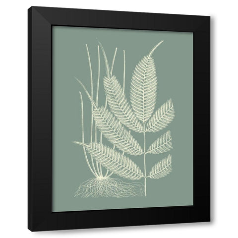Ferns on Sage II Black Modern Wood Framed Art Print with Double Matting by Vision Studio
