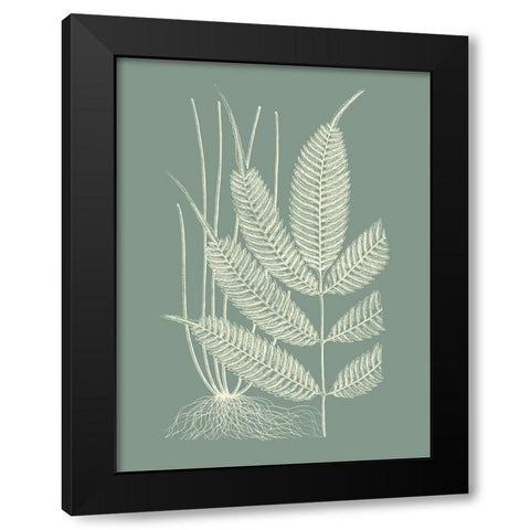 Ferns on Sage II Black Modern Wood Framed Art Print by Vision Studio