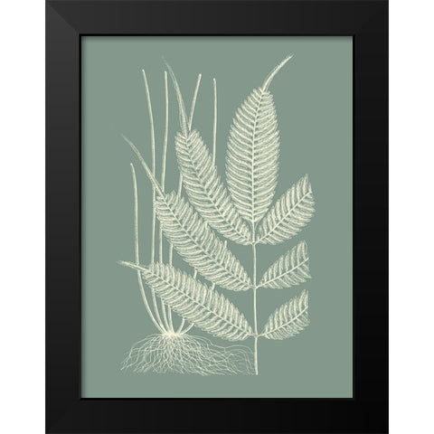 Ferns on Sage II Black Modern Wood Framed Art Print by Vision Studio