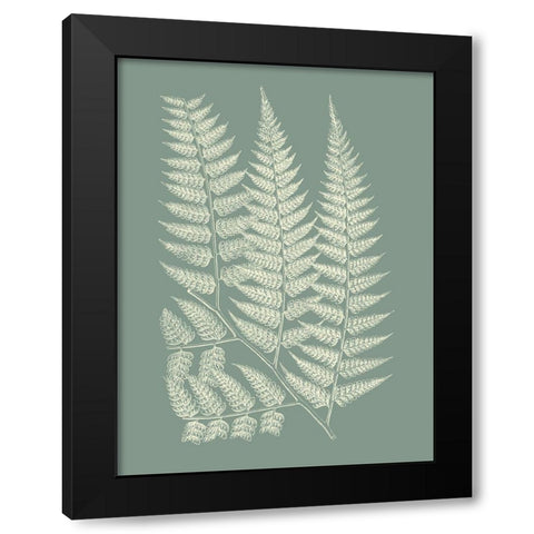 Ferns on Sage III Black Modern Wood Framed Art Print with Double Matting by Vision Studio